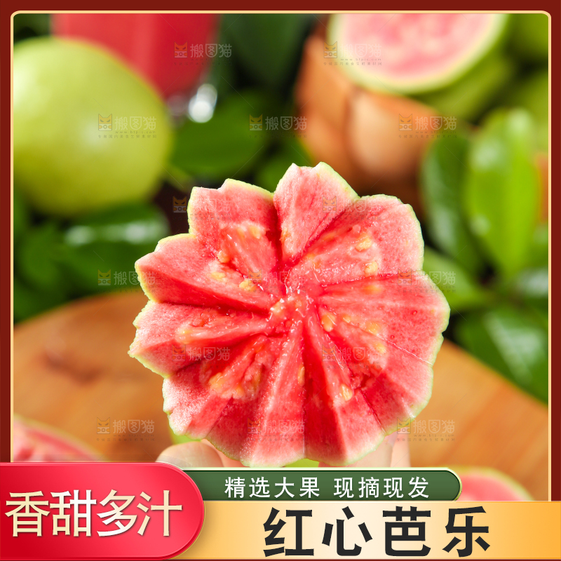 手里拿着红心番石榴