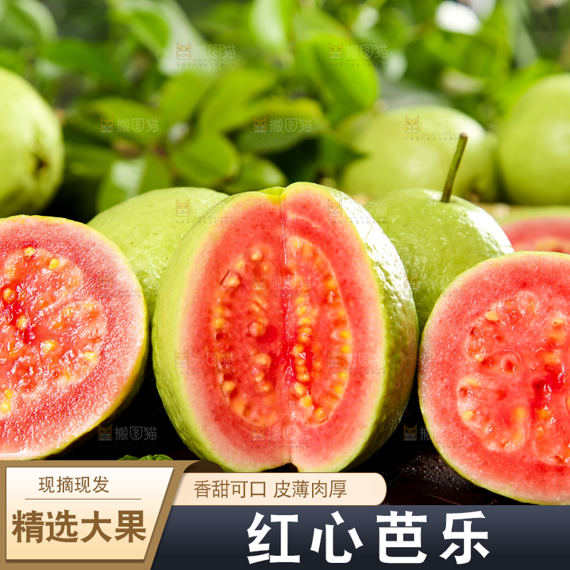 木底上放着红心芭乐