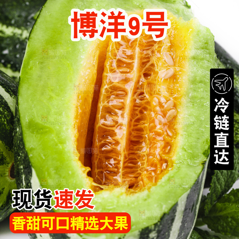 白底上放着博洋蜜脆甜瓜
