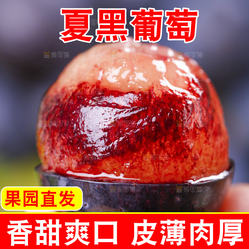 手里拿着夏黑葡萄