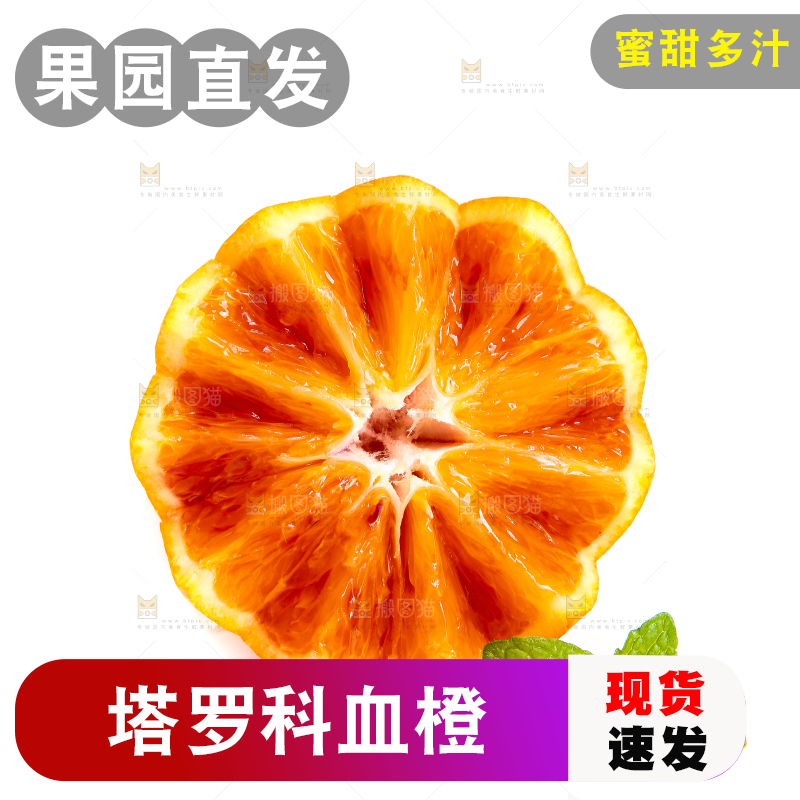 白底上的玫瑰血橙