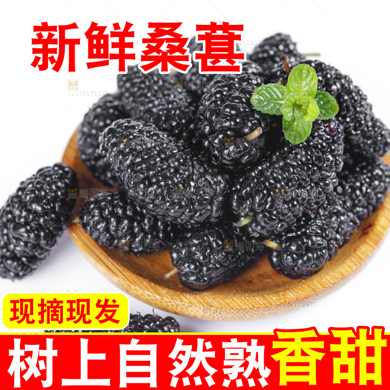 碟子里装着黑桑葚