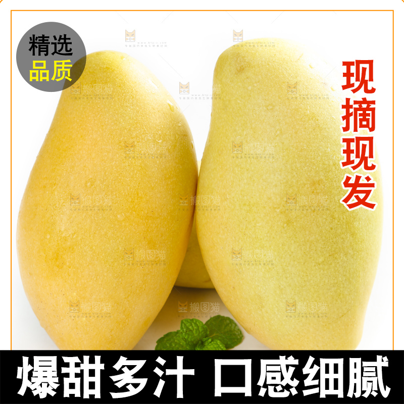 白底上放着进口高乐蜜芒