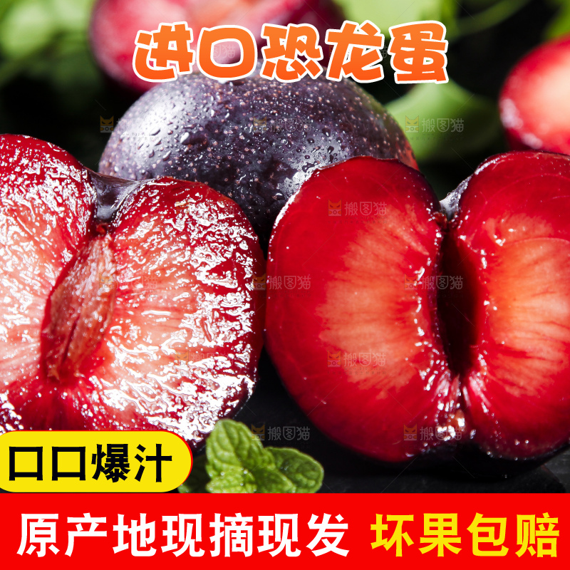 深底上摆放着恐龙蛋李