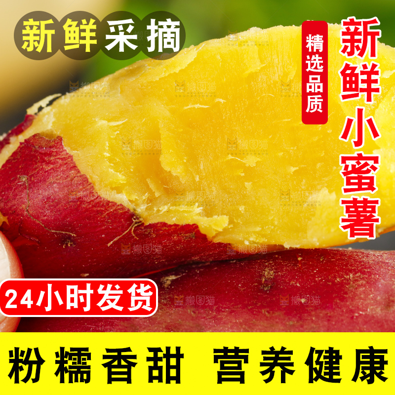 手里拿着临安天目山小香薯