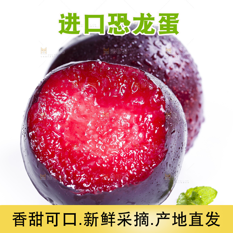 白底上摆放着恐龙蛋李