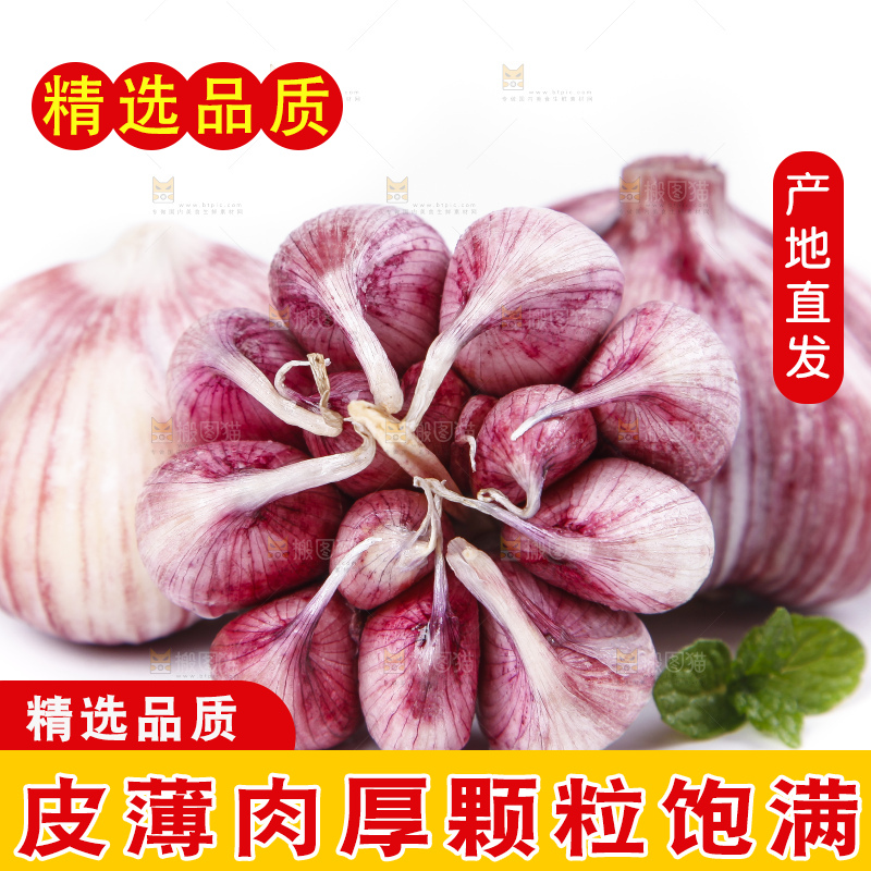 白底上放着紫皮蒜