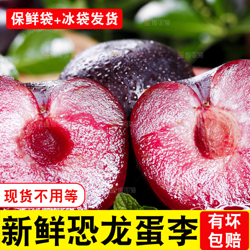 黑底上摆放着智利进口恐龙蛋
