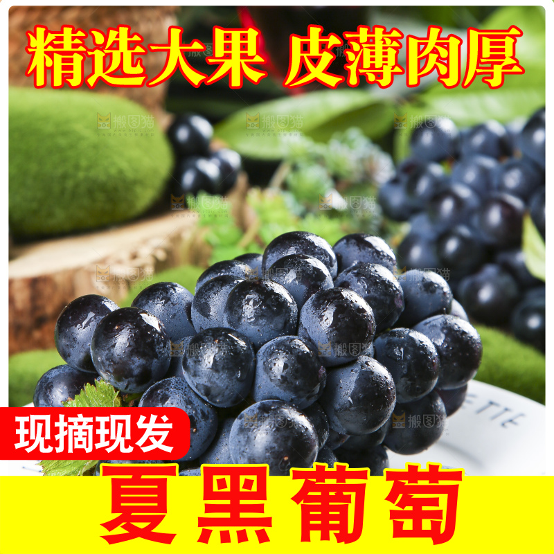盘子里装着夏黑葡萄