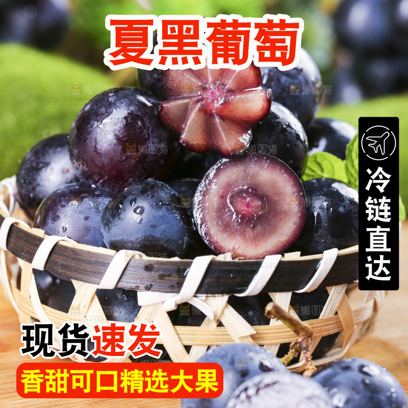 篮子里装着夏黑无籽葡萄
