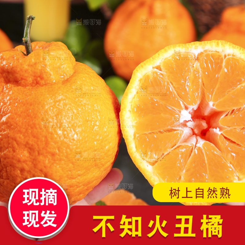 手里拿着不知火柑橘