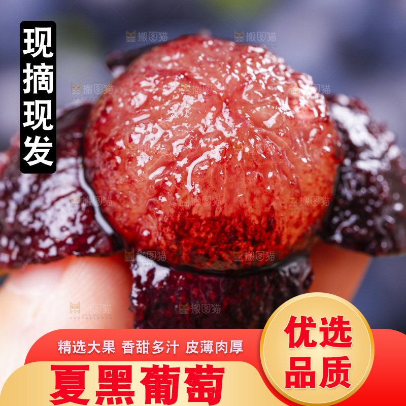 手里拿着夏黑葡萄