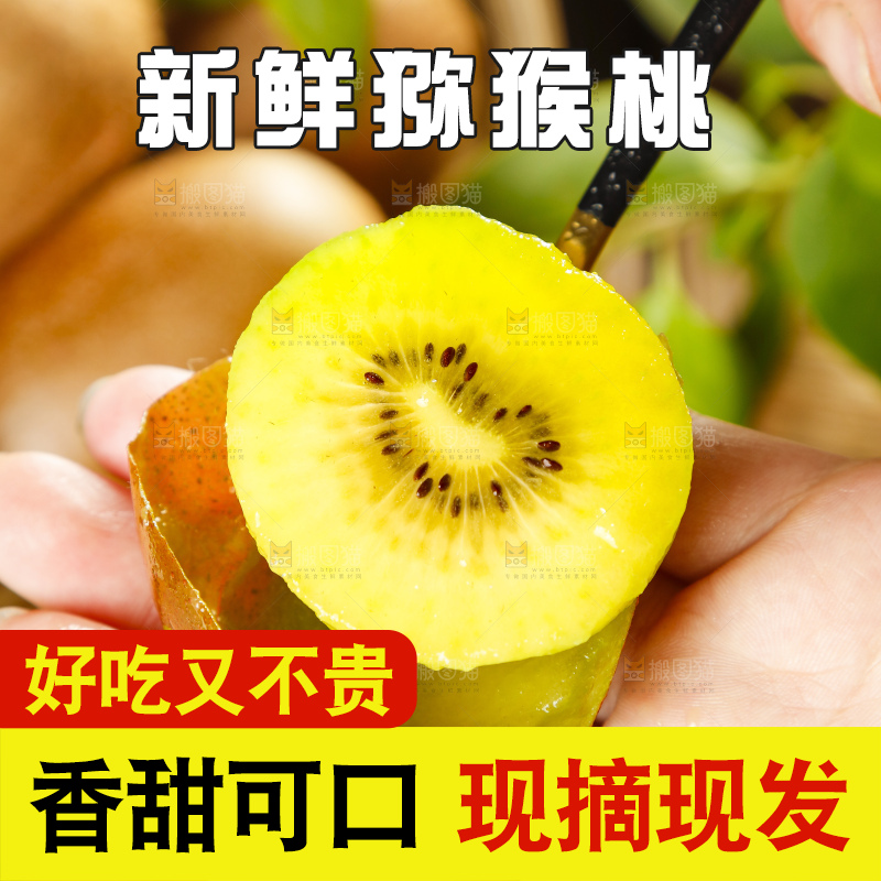 手里拿着黄心猕猴桃
