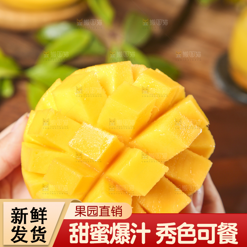 手里拿着甜心芒