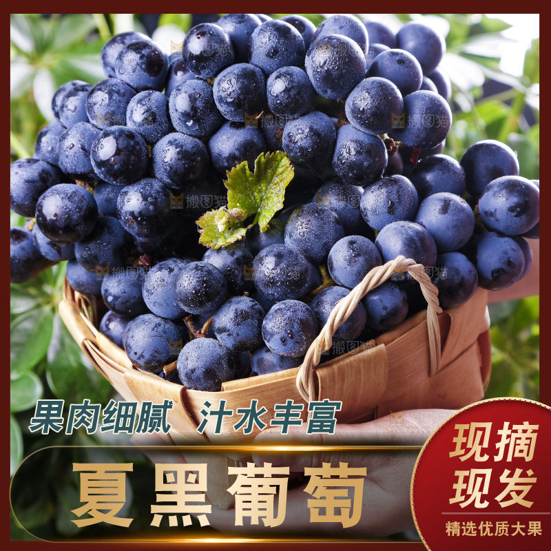 手里拿着一篮夏黑葡萄