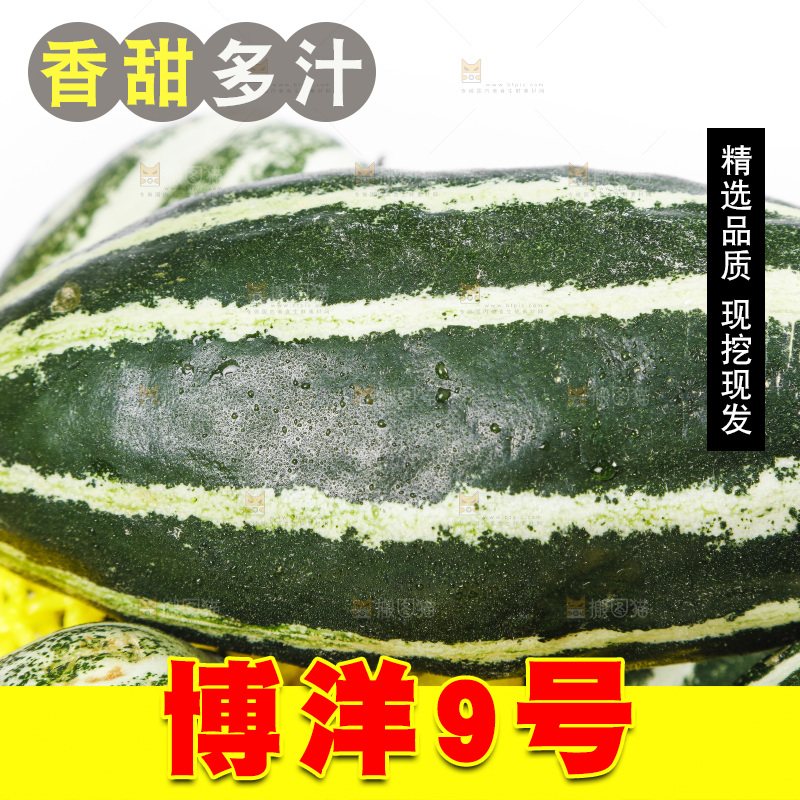 堆放着一堆博洋甜瓜