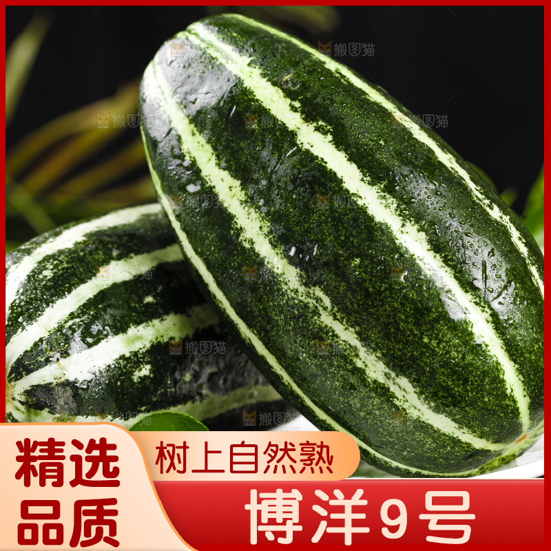 盘子里装着博洋香瓜