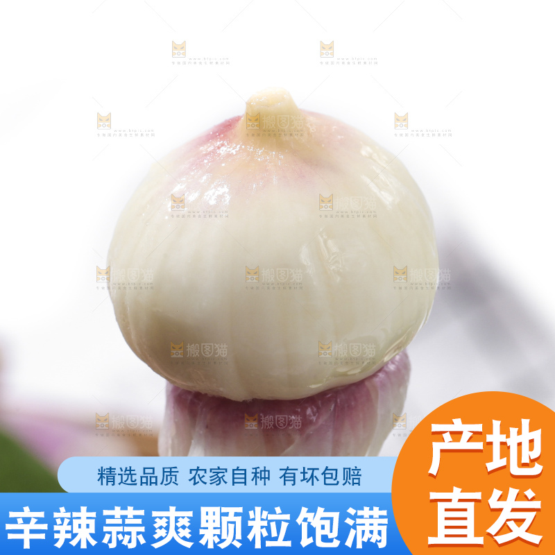 手里拿着独蒜头