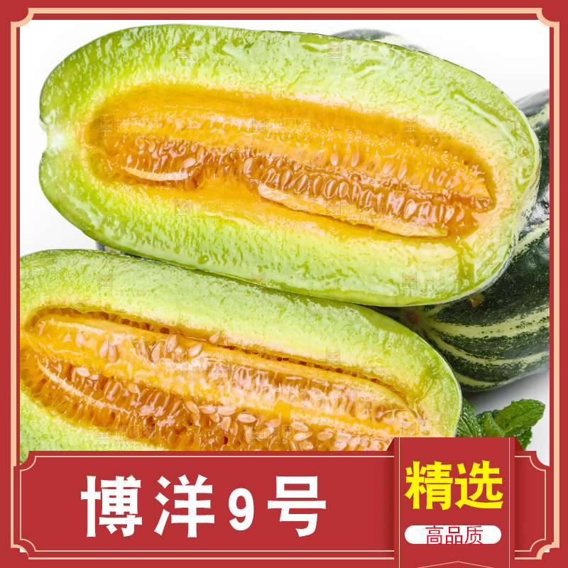 白底上放着博洋蜜脆甜瓜