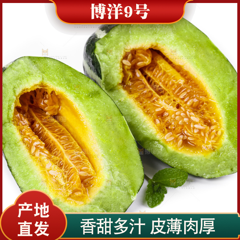 白底上摆放着博洋香瓜