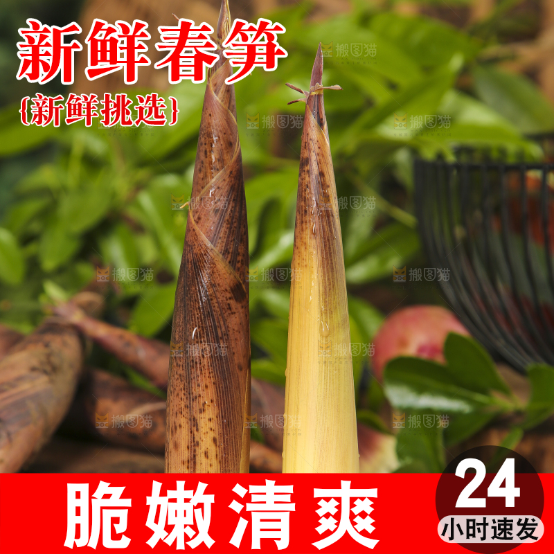 木底上摆放着春笋