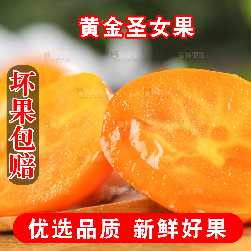 木底上摆放着山东黄金圣女果