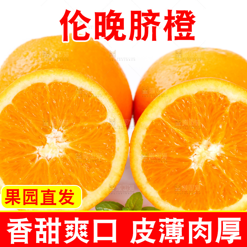 白底上摆放着湖北秭归伦晚脐橙