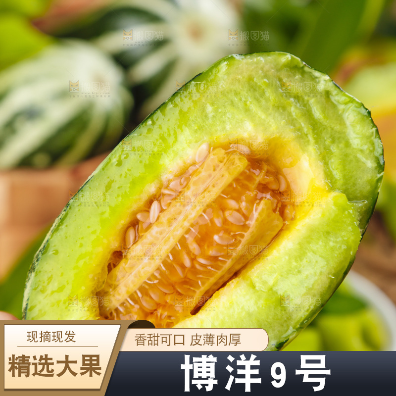 手里拿着博洋甜瓜