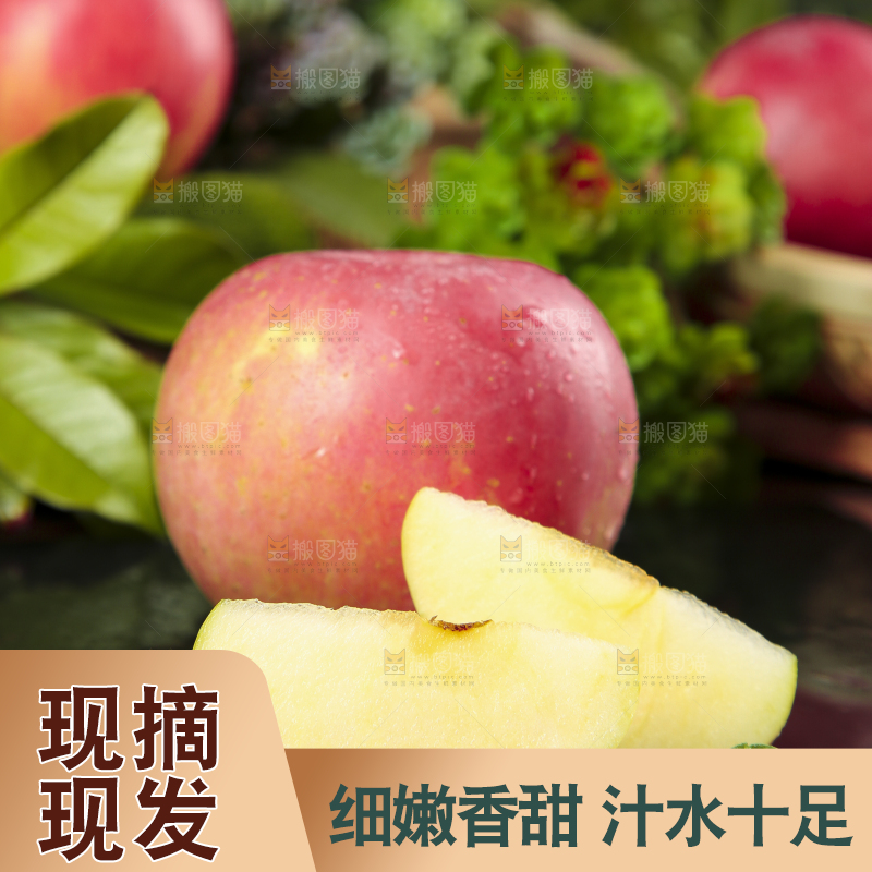 深底上摆放着红嘎啦苹果