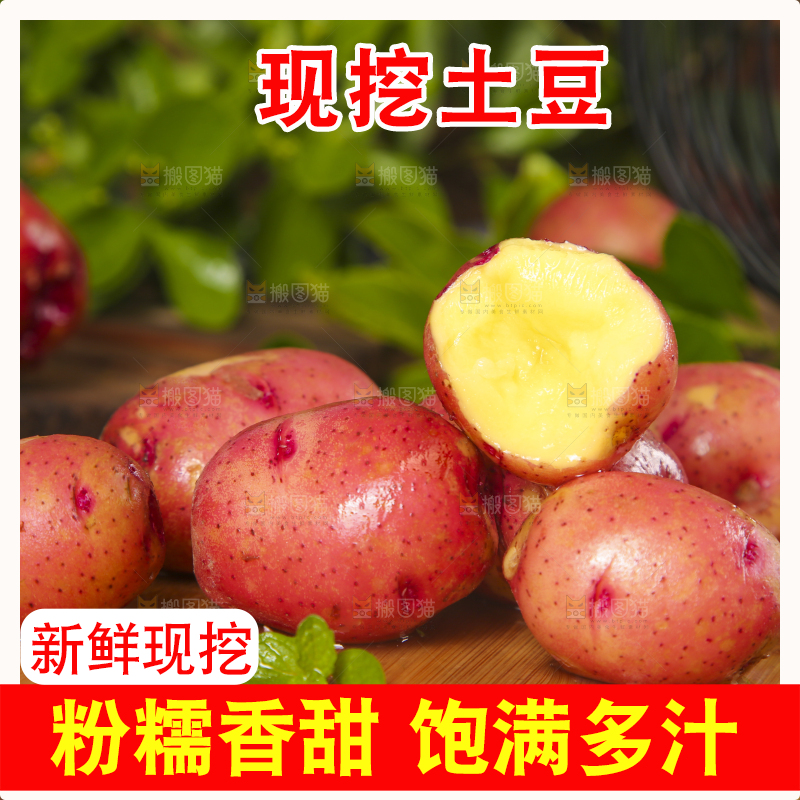 木底上摆放着红皮小土豆