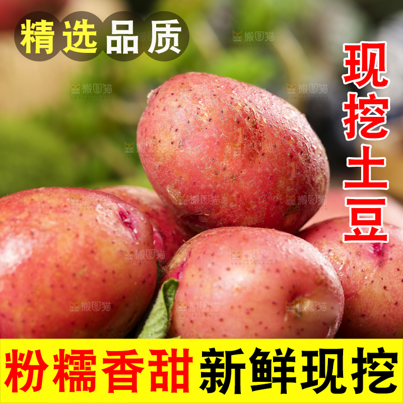 深底上摆放着红皮土豆