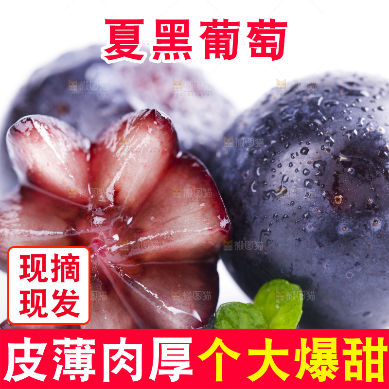 白底上放着夏黑