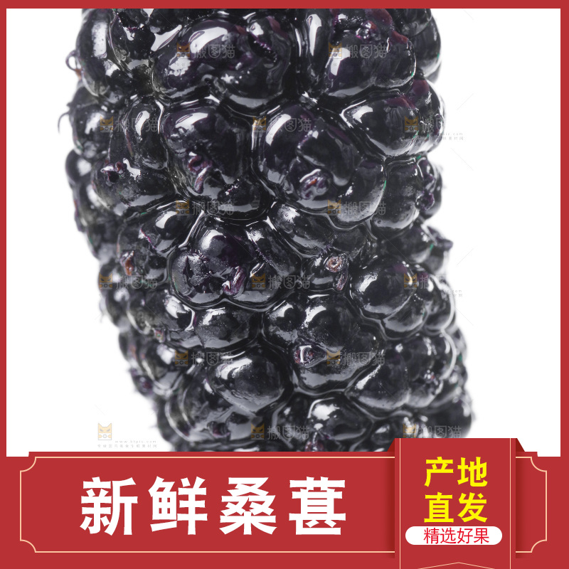 手里拿着桑葚子