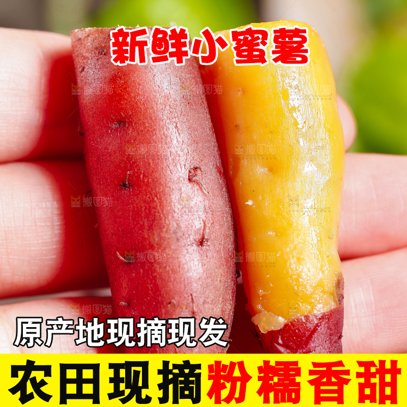 手里拿着小蜜薯