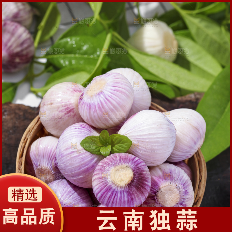 篮子里装着紫皮独蒜