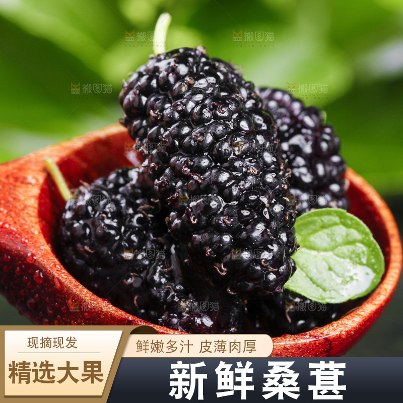 勺子上放着桑枣