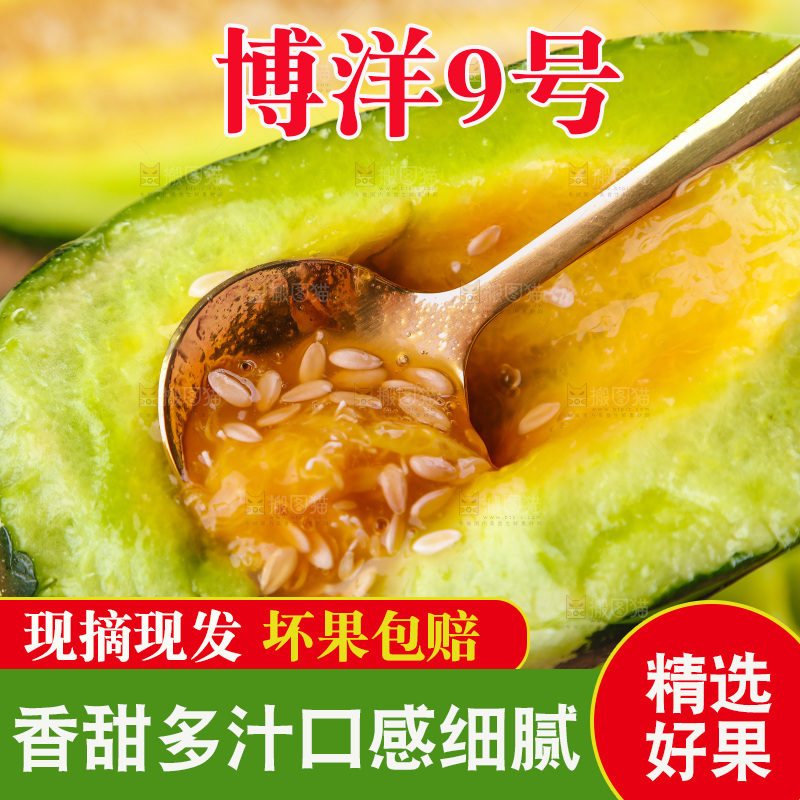 手里拿着博洋甜瓜