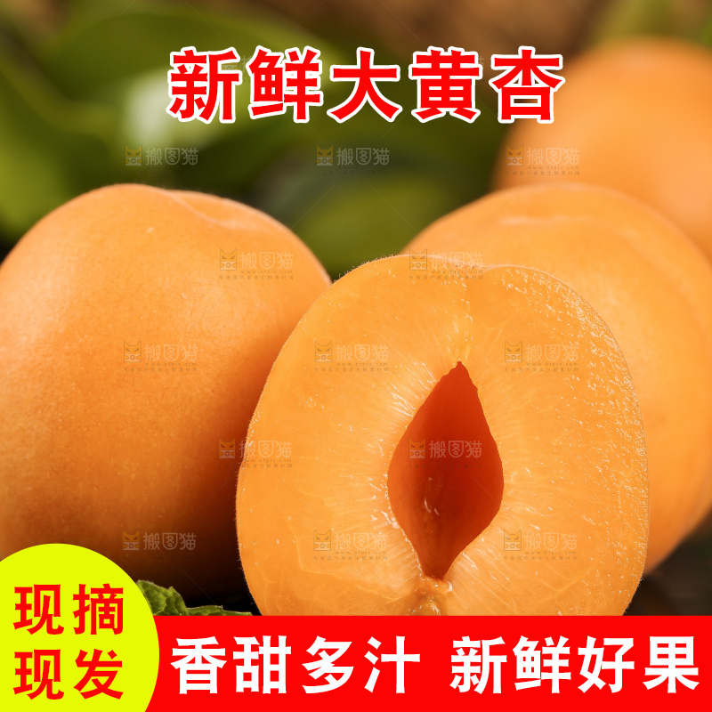 黑底上摆放着头茬大黄杏