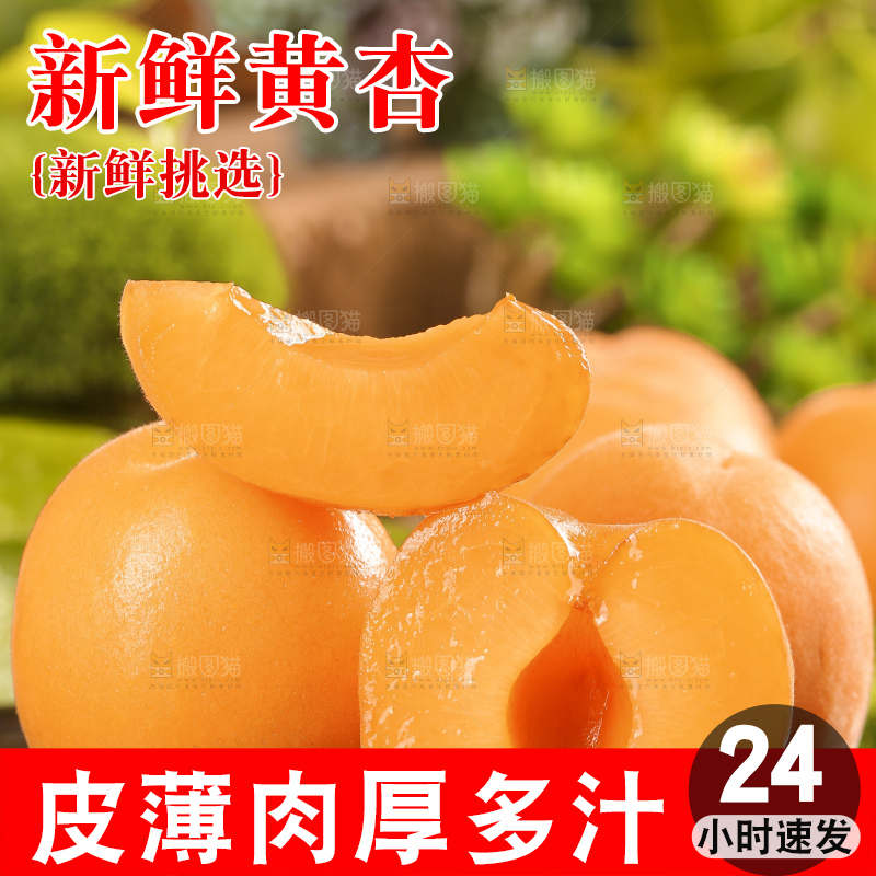 深底上摆放着烟台杏子