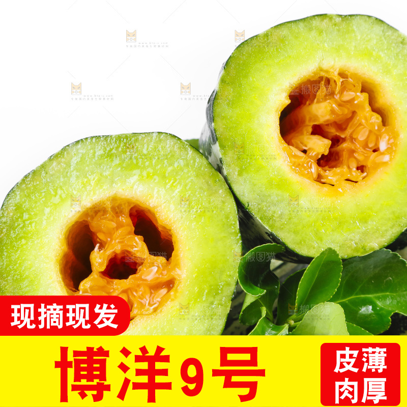 白底上放着花皮甜瓜