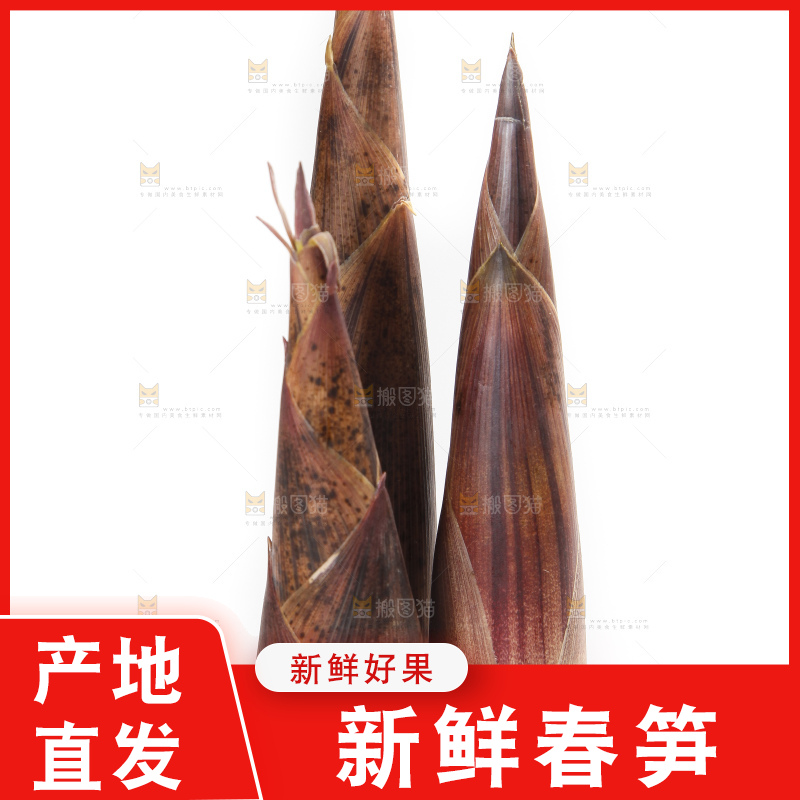白底上摆放着建瓯雷笋