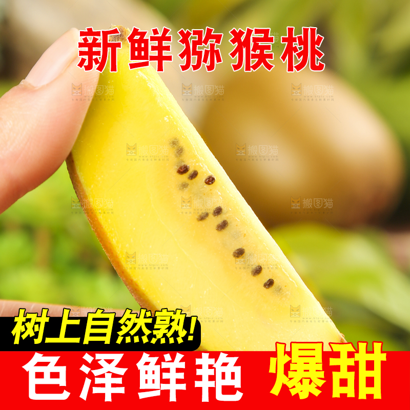 手里拿着黄心猕猴桃