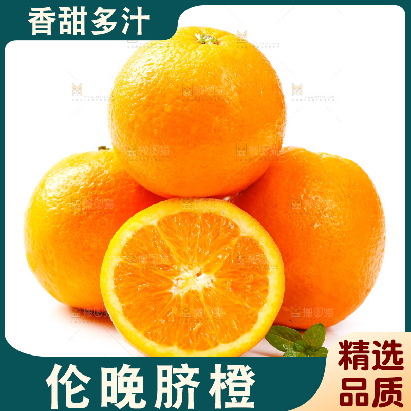白底上放着新鲜伦晚脐橙