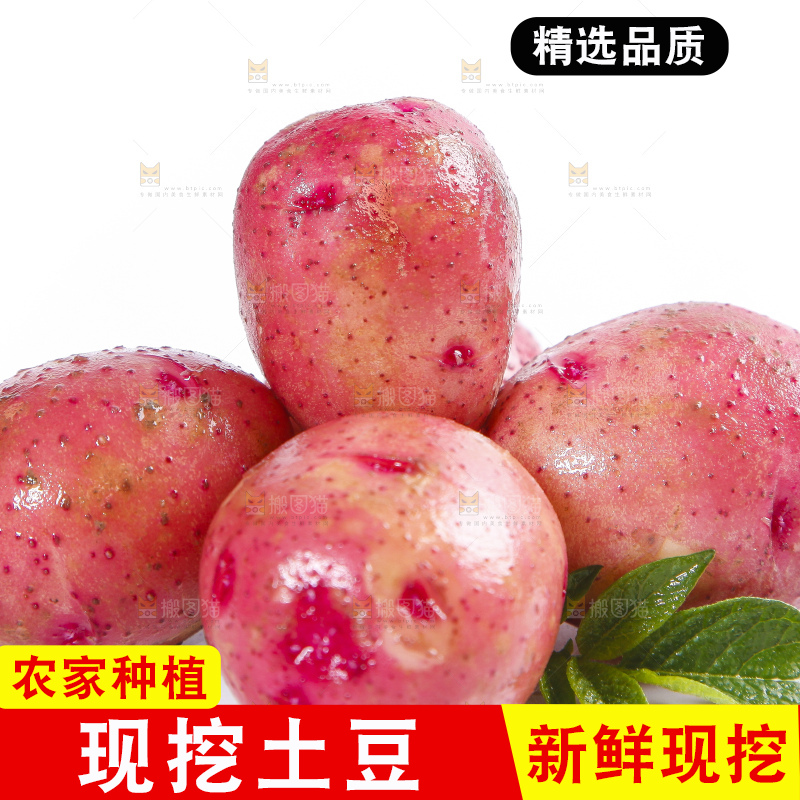 白底上摆放着红皮小土豆 