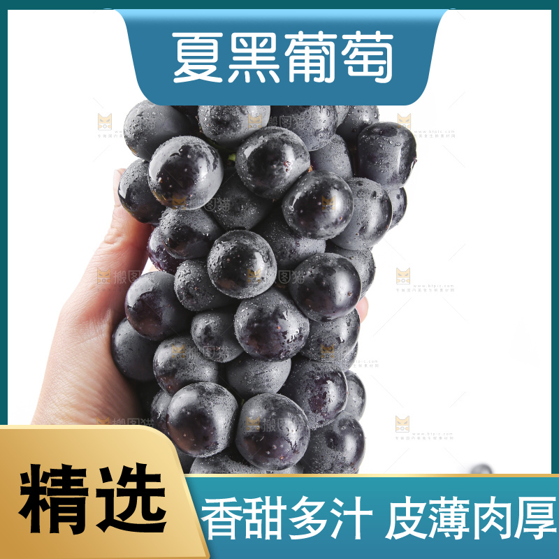 手里拿着夏黑葡萄