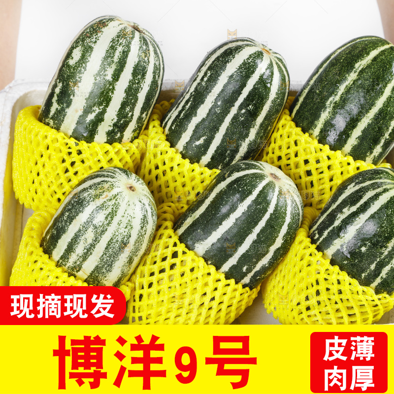 手里拿着一箱博洋甜瓜