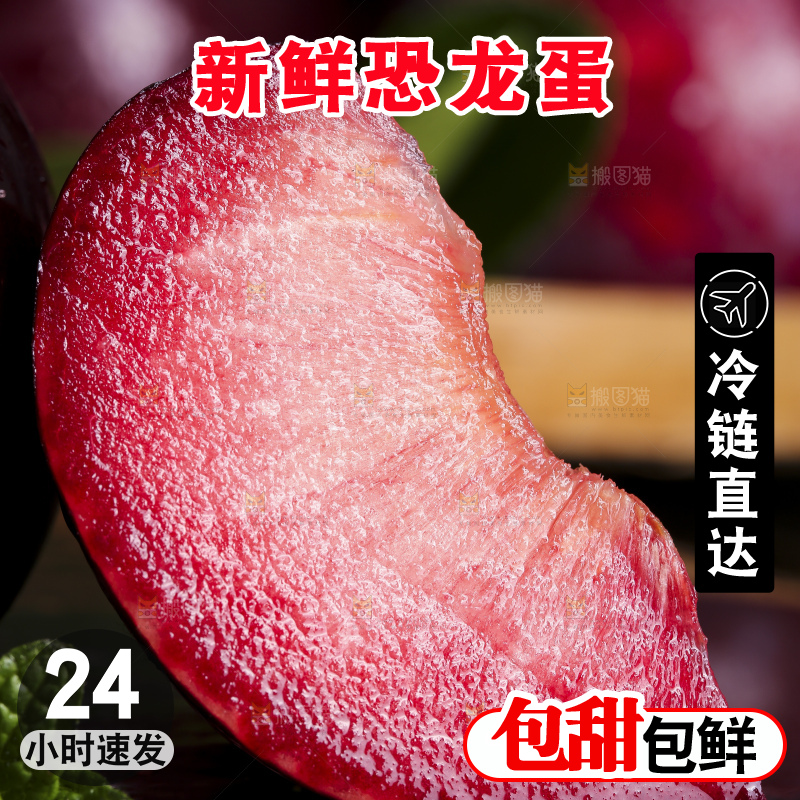 黑底上摆放着恐龙蛋李