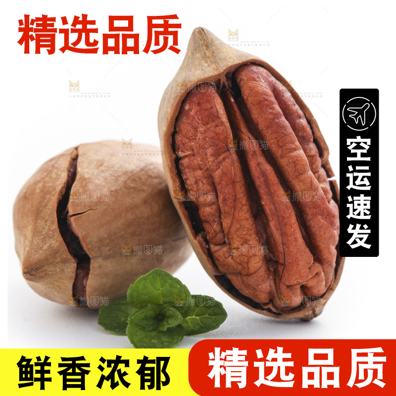 白底上的山核桃