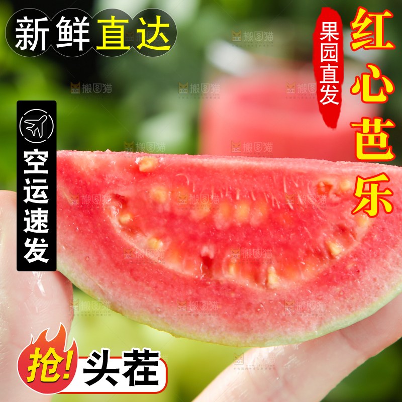 手里拿着红心番石榴