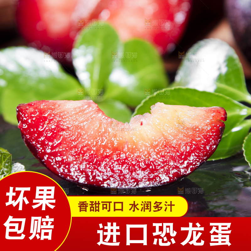 黑底上摆放着智利进口恐龙蛋
